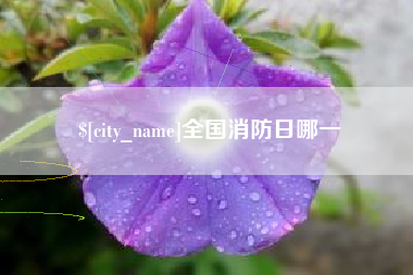 红河全国消防日哪一