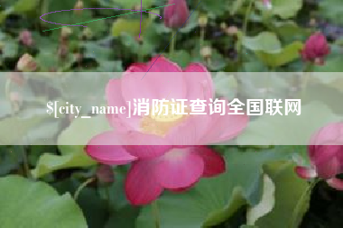 红河消防证查询全国联网