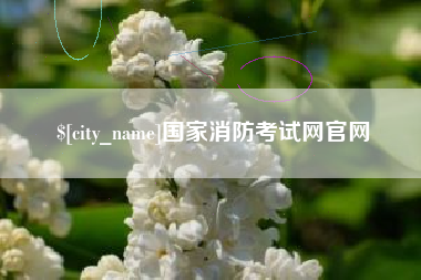红河国家消防考试网官网