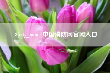红河中国消防网官网入口