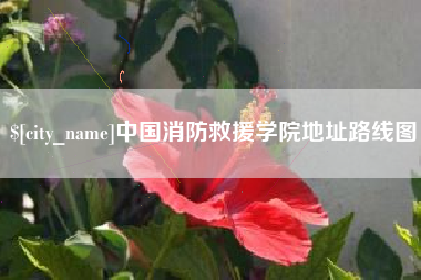 红河中国消防救援学院地址路线图
