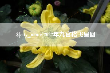红河2022年九宫格飞星图
