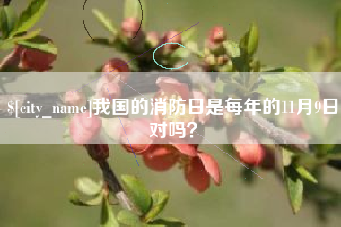 红河我国的消防日是每年的11月9日对吗？