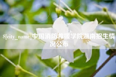 红河中国消防救援学院湖南招生情况公布
