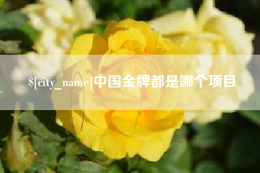 红河中国金牌都是哪个项目