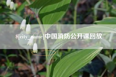 红河中国消防公开课回放