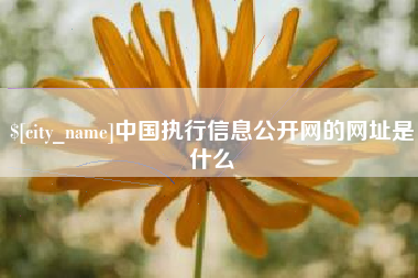 红河中国执行信息公开网的网址是什么