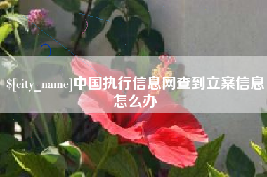 红河中国执行信息网查到立案信息怎么办