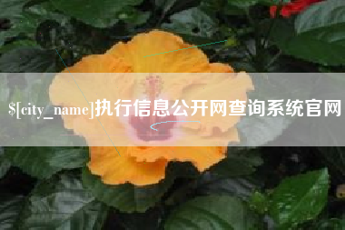 红河执行信息公开网查询系统官网