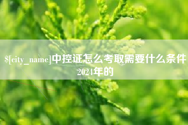红河中控证怎么考取需要什么条件2024年的