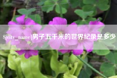 红河男子五千米的世界纪录是多少