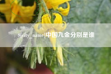 红河中国九金分别是谁