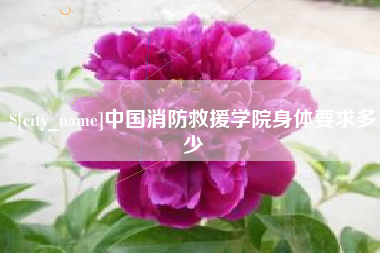 红河中国消防救援学院身体要求多少