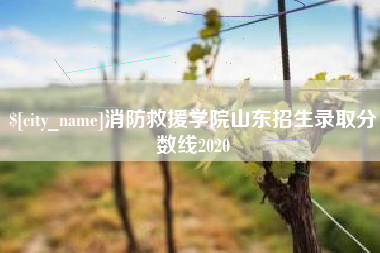 红河消防救援学院山东招生录取分数线2020