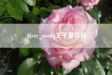 红河王子豪百科