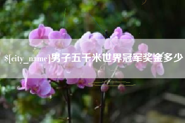 红河男子五千米世界冠军奖金多少