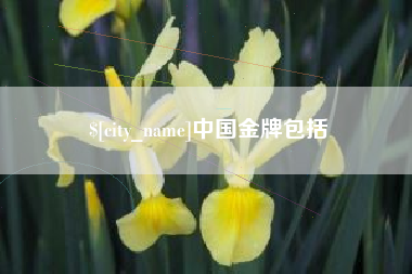 红河中国金牌包括