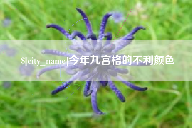 红河今年九宫格的不利颜色