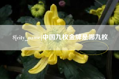 红河中国九枚金牌是哪九枚