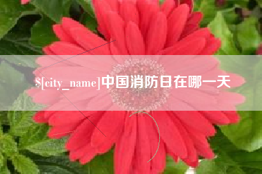 红河中国消防日在哪一天