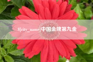 红河中国金牌第九金