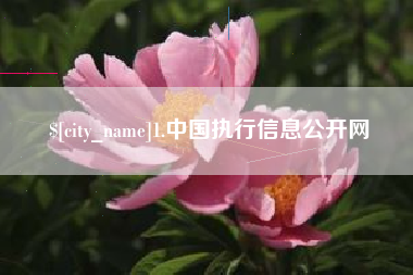 红河1.中国执行信息公开网