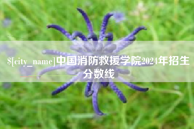 红河中国消防救援学院2024年招生分数线