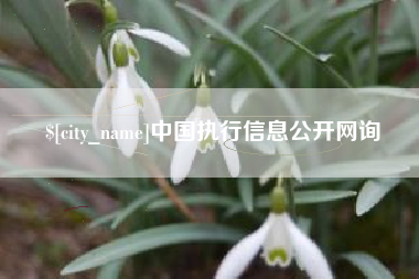 红河中国执行信息公开网询