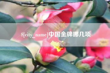 红河中国金牌哪几项