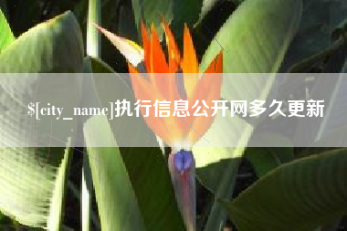 红河执行信息公开网多久更新