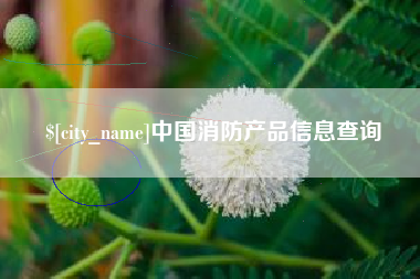红河中国消防产品信息查询