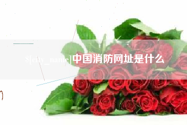 红河中国消防网址是什么