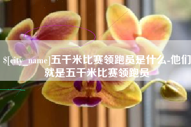 红河五千米比赛领跑员是什么-他们就是五千米比赛领跑员