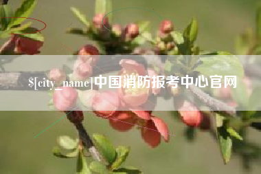 红河中国消防报考中心官网