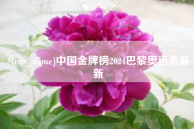 红河中国金牌榜2024巴黎奥运会最新