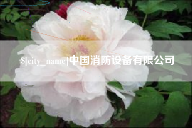 红河中国消防设备有限公司