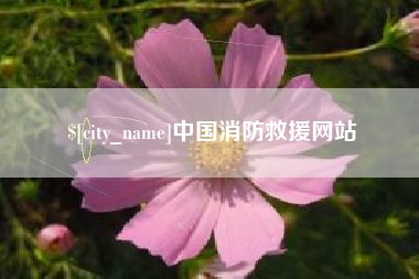 红河中国消防救援网站