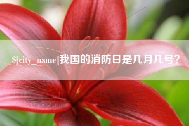 红河我国的消防日是几月几号？