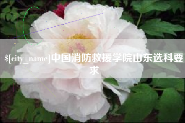 红河中国消防救援学院山东选科要求