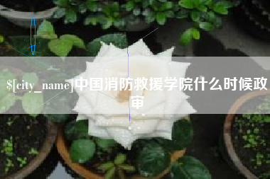 红河中国消防救援学院什么时候政审
