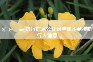 红河执行信息公开网查询不到被执行人信息