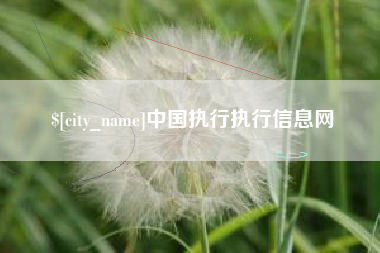 红河中国执行执行信息网