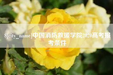 红河中国消防救援学院2020高考报考条件