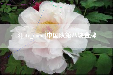 红河中国队第八块金牌