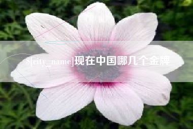 红河现在中国哪几个金牌