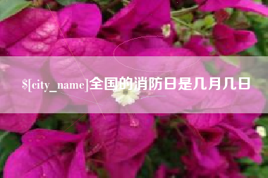红河全国的消防日是几月几日