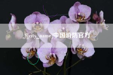 红河中国消防官方