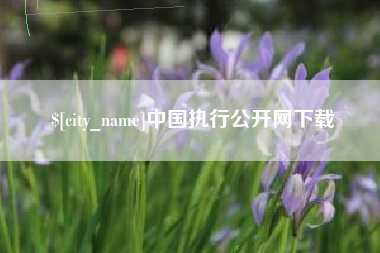 红河中国执行公开网下载