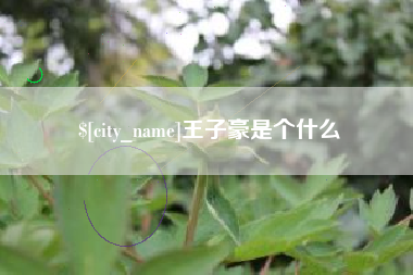 红河王子豪是个什么