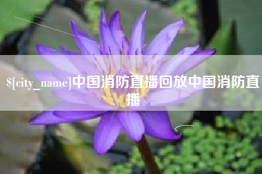 红河中国消防直播回放中国消防直播